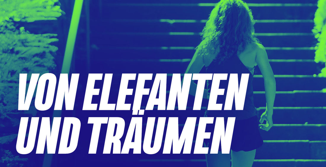 Von Elefanten und Träumen