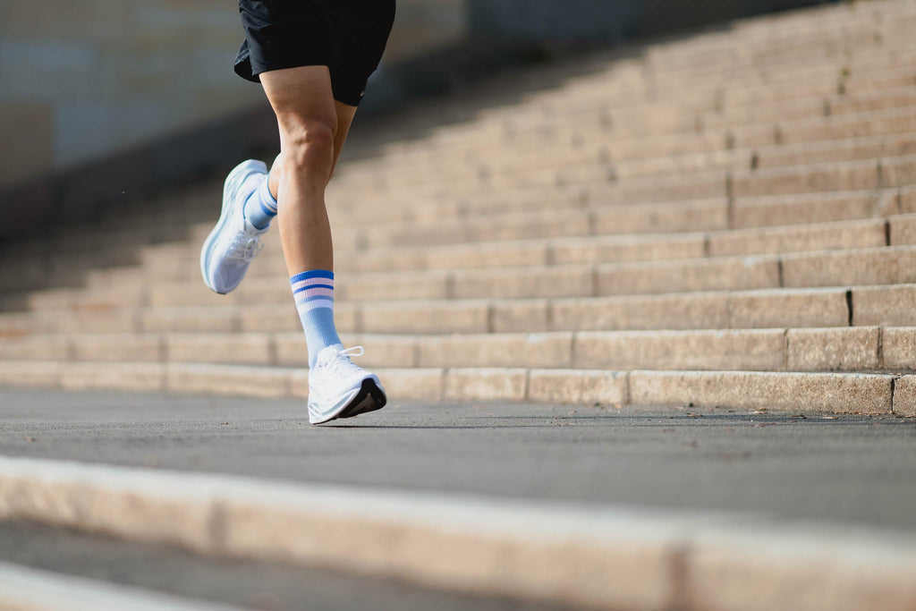 INCYLENCE MERINO STRIVE BLUE LIGHT PINK Socks INCYLENCE